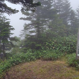 佐武流山頂