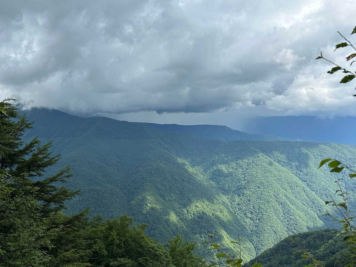 下山途中、南アルプスの上空は真っ黒👀
⚡️が鳴り出したよ💦