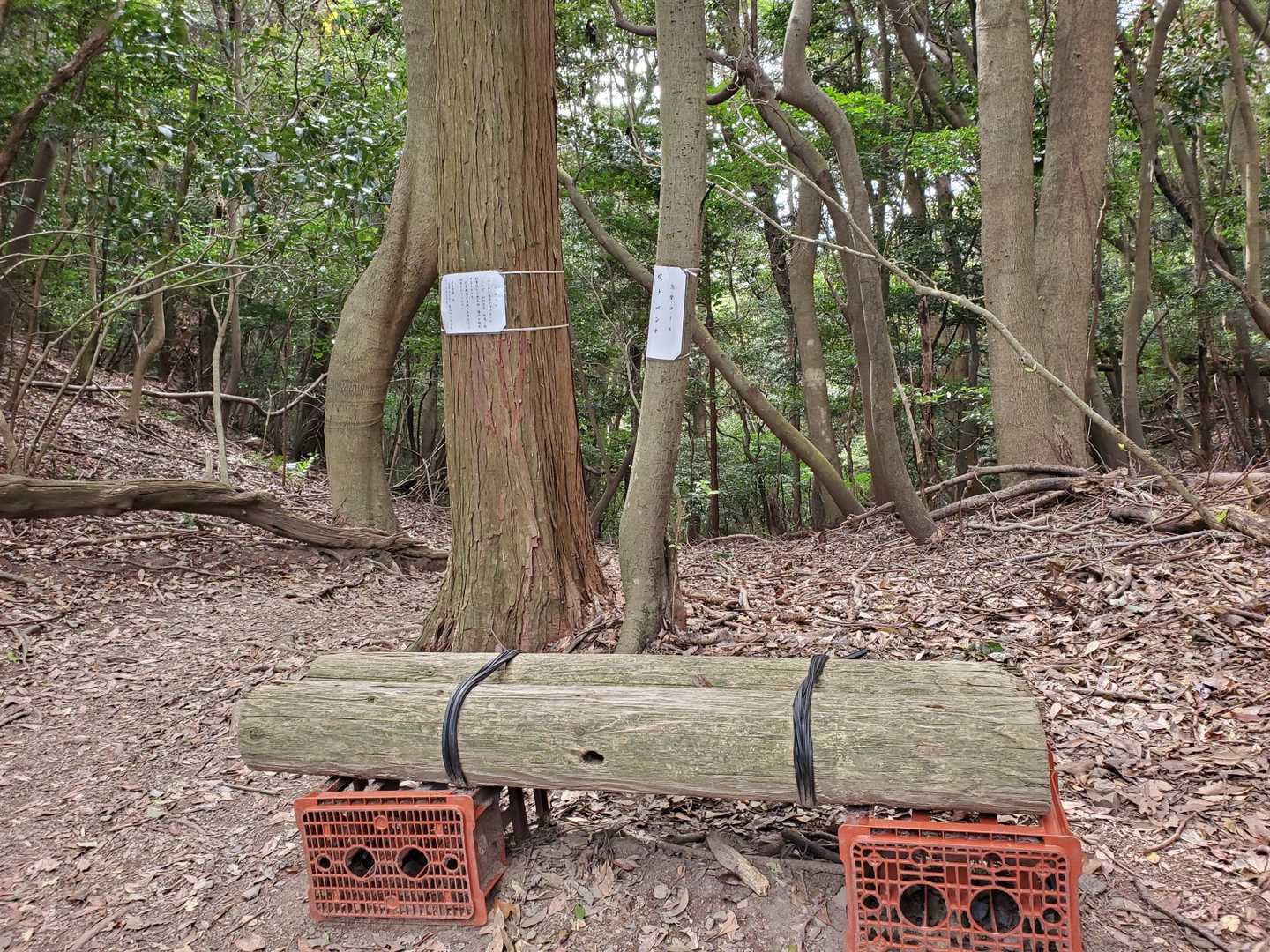 ベンチが所々あってありがたーい😊
でも座らず進もう❗
