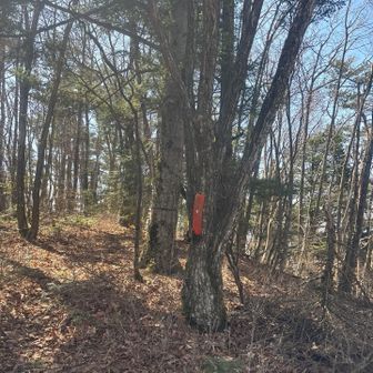 えぼしから3分でグレーピークの駒沢山へ😅
先の牛首峠には勿論行けません💦