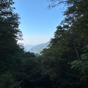 先ずは青崩の頭を目指します。