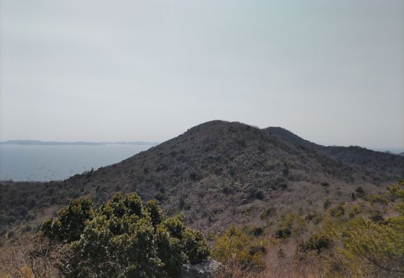 たしまやま Z山（兵庫・228m）| 登山ルート・天気 | YAMAP / ヤマップ
