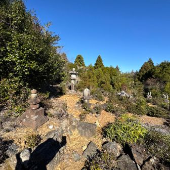 あちこち散策してお墓みたいな場所も