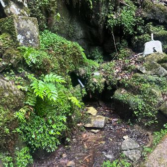 水場はあるけど枯れてました