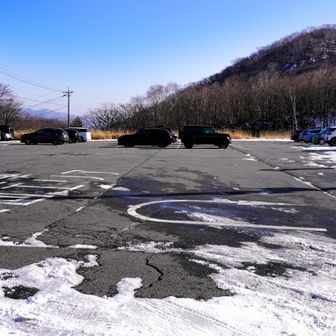 駐車場は20台位駐まっていました。