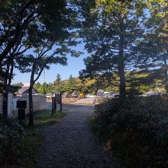 下山すると駐車場には約40台程の車。