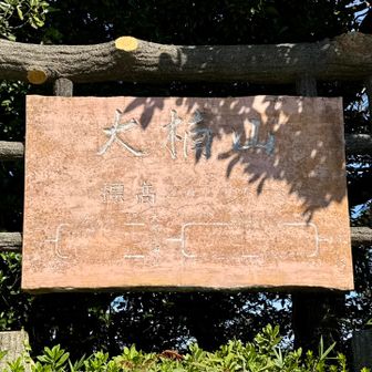 大楠山に到着✨
242m三浦半島の最高峰⛰️