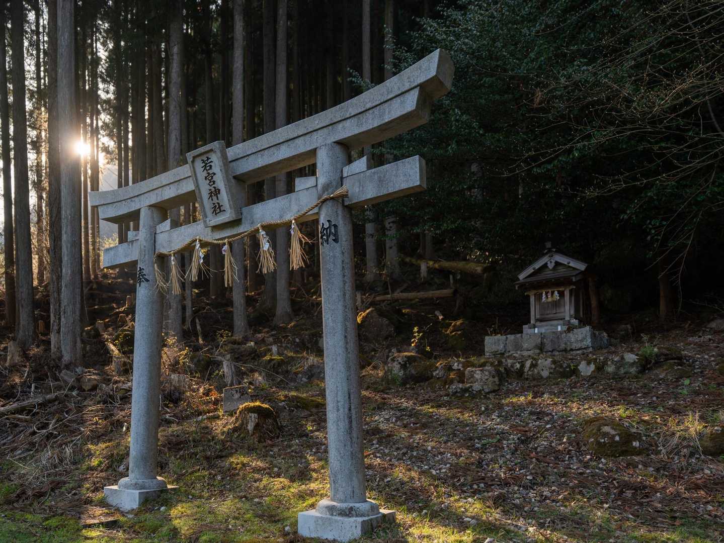 ありがとうございます- ̗̀🙏🏻  ̖́-