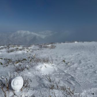 なかなか姿が見え隠れするハナコ待ち