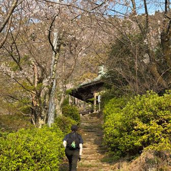 そして石畳を登って本堂へ