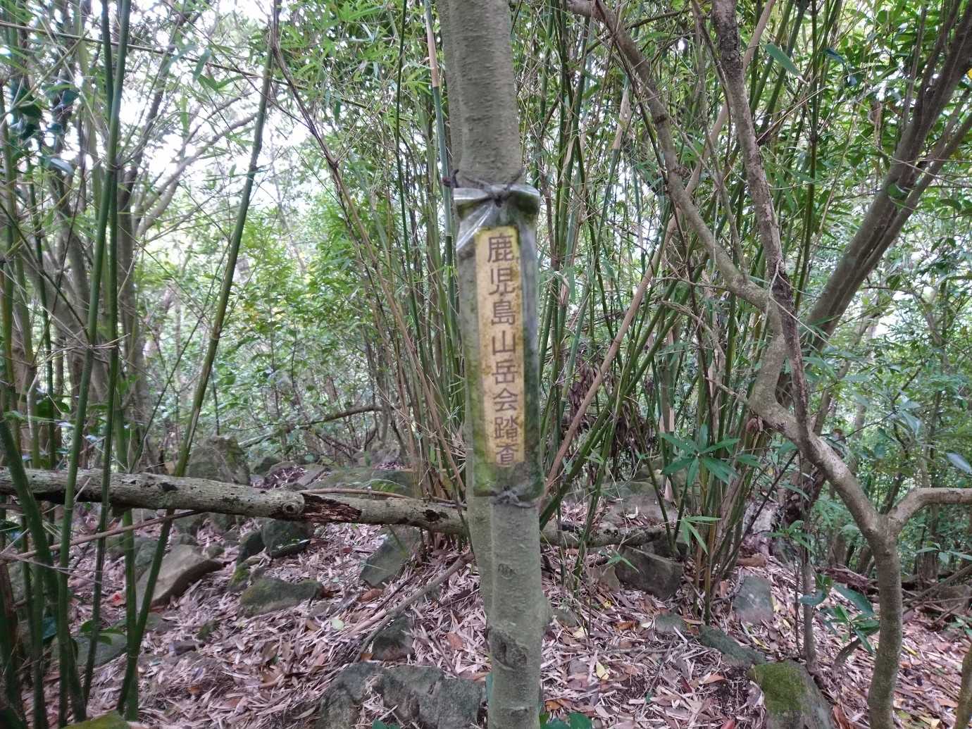 登頂。