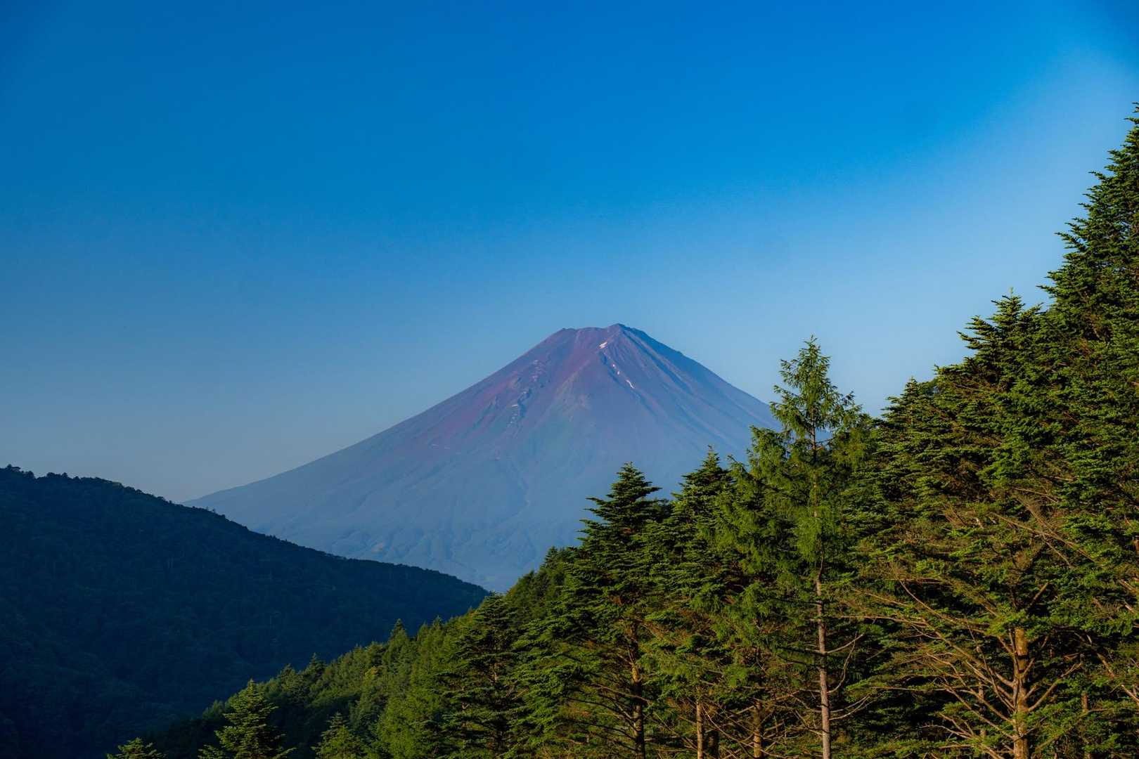 三ッ峠山登山口-大幡八丁峠-清八山-清八峠-本社ヶ丸 往復コースの写真