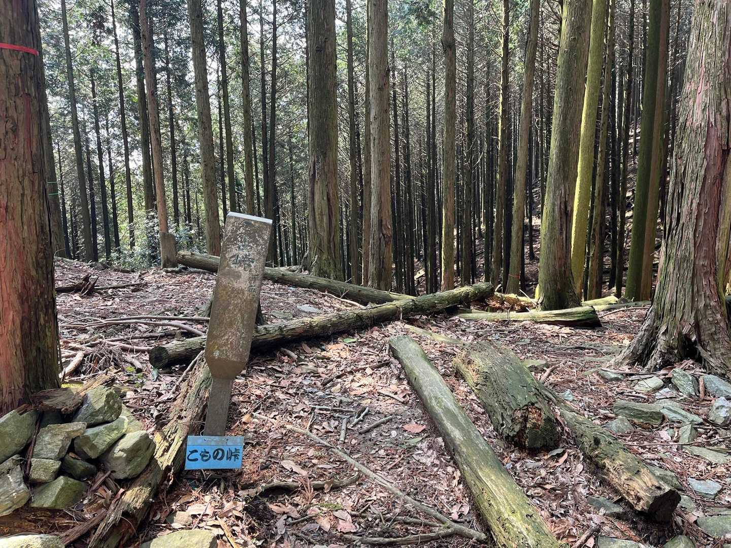 こもの峠　急登りの前にエネルギーチャージ