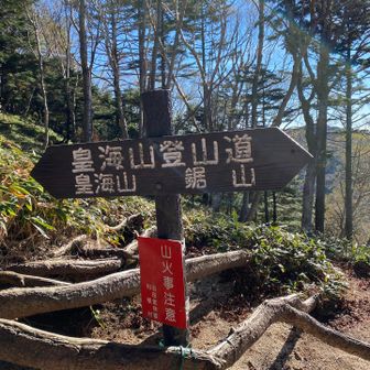 ようやく
とりつきまで来ました
ここらの登りは意外にハードではない
