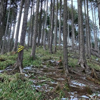 体が重たい重たい