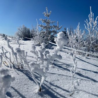 この雪山の自然美がいい