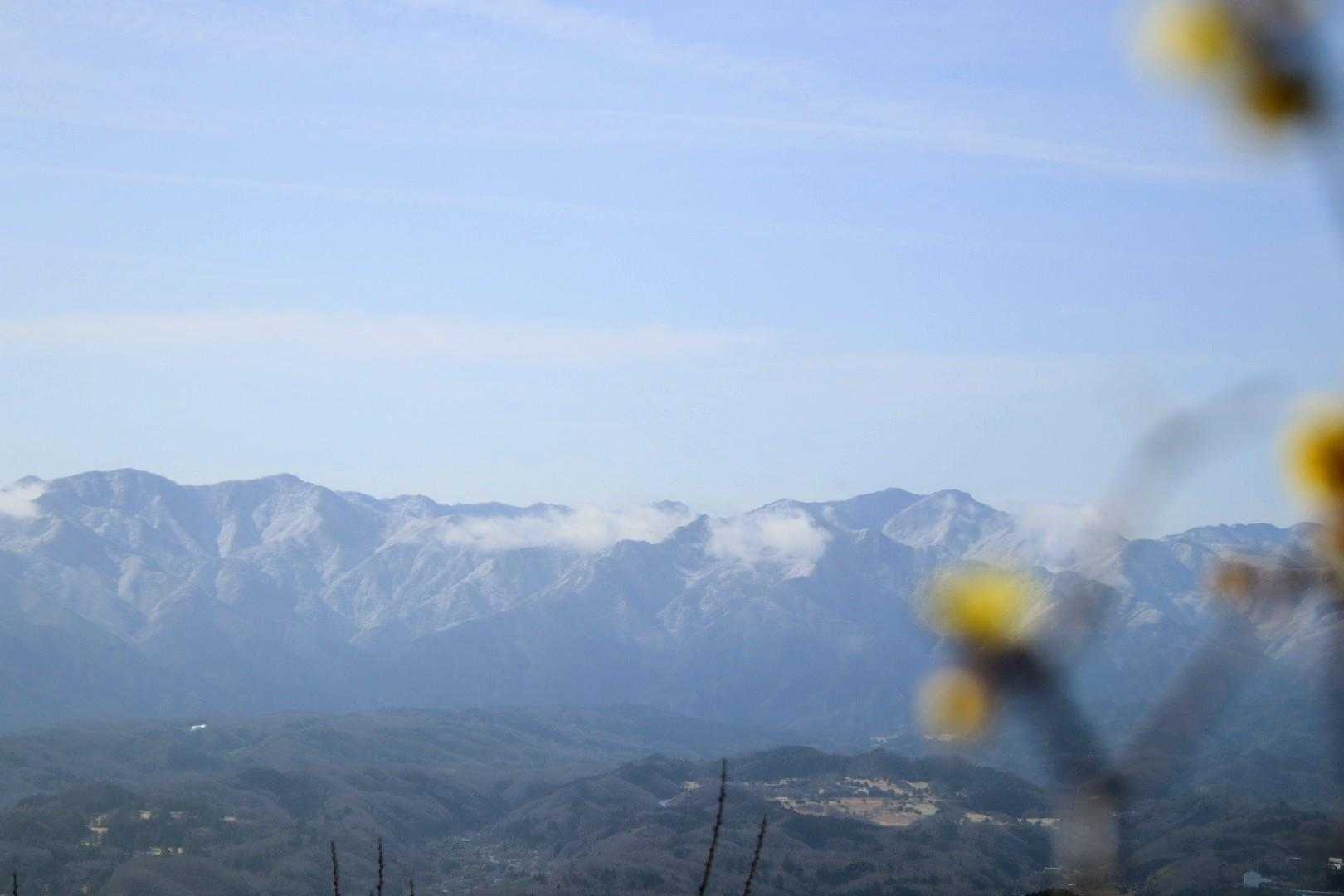 ロープウェイで気軽に楽しめる“宝の登山”の山上散策の写真