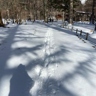 小梨平でテント設営
