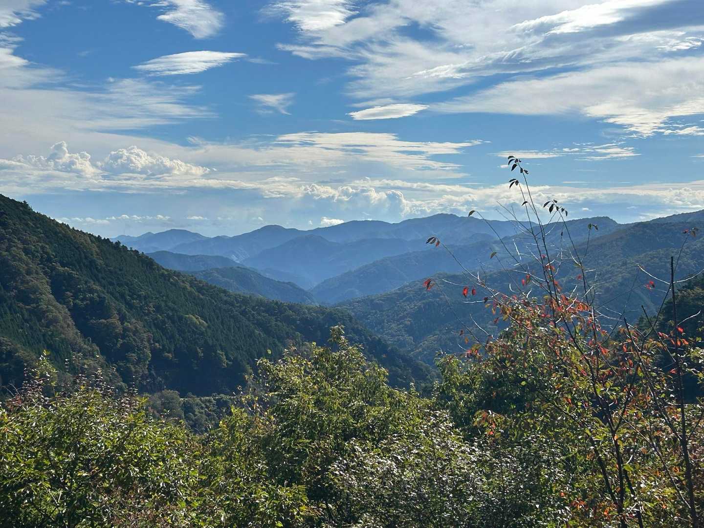 温泉センターバス停-仲の平バス停-西原峠-槇寄山-大沢山- 縦走コースの写真