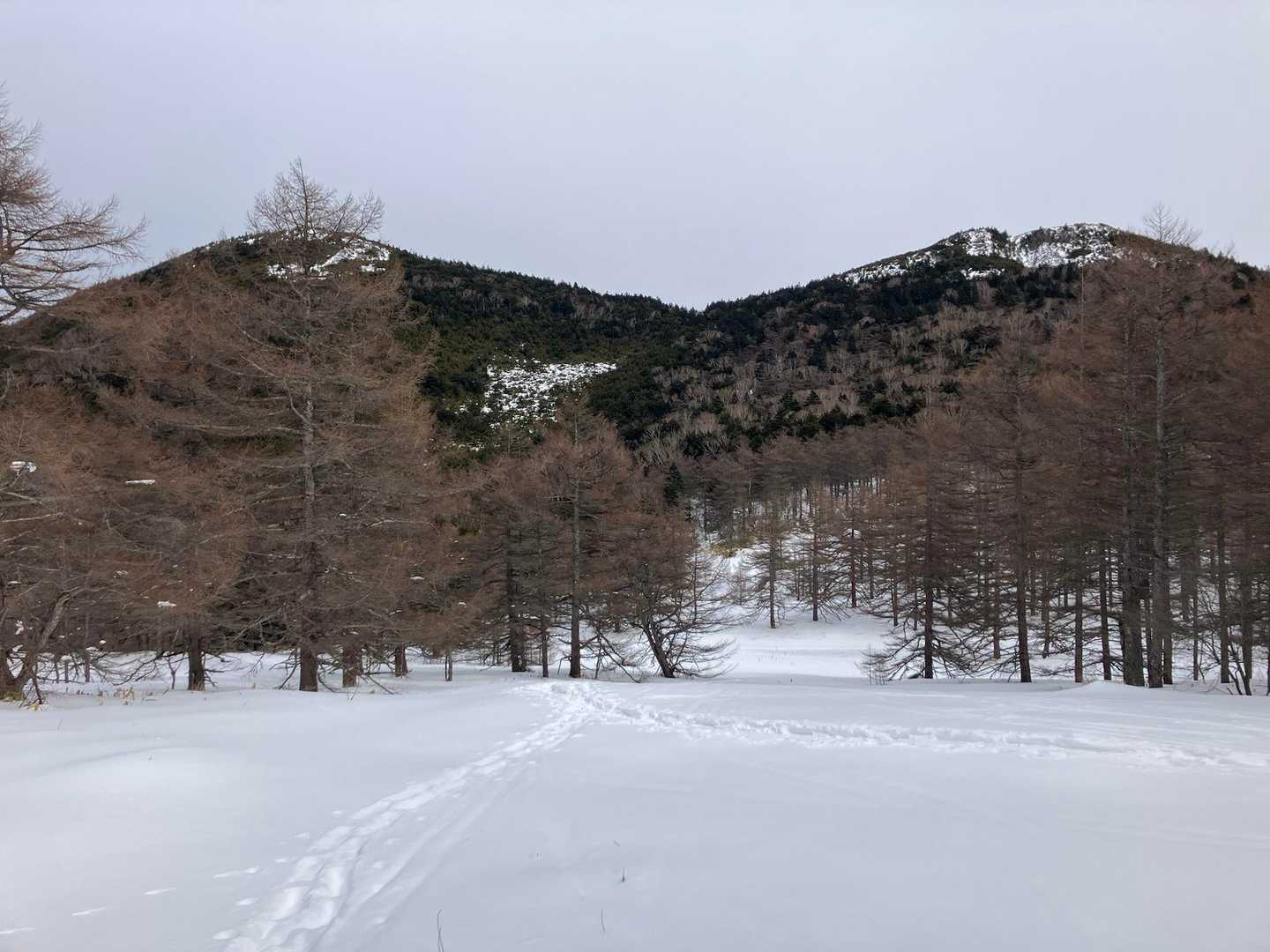 東篭ノ頭山、西篭ノ頭山。