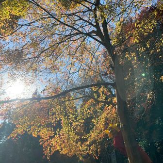 この同化が取りたくて来ました〜🤭