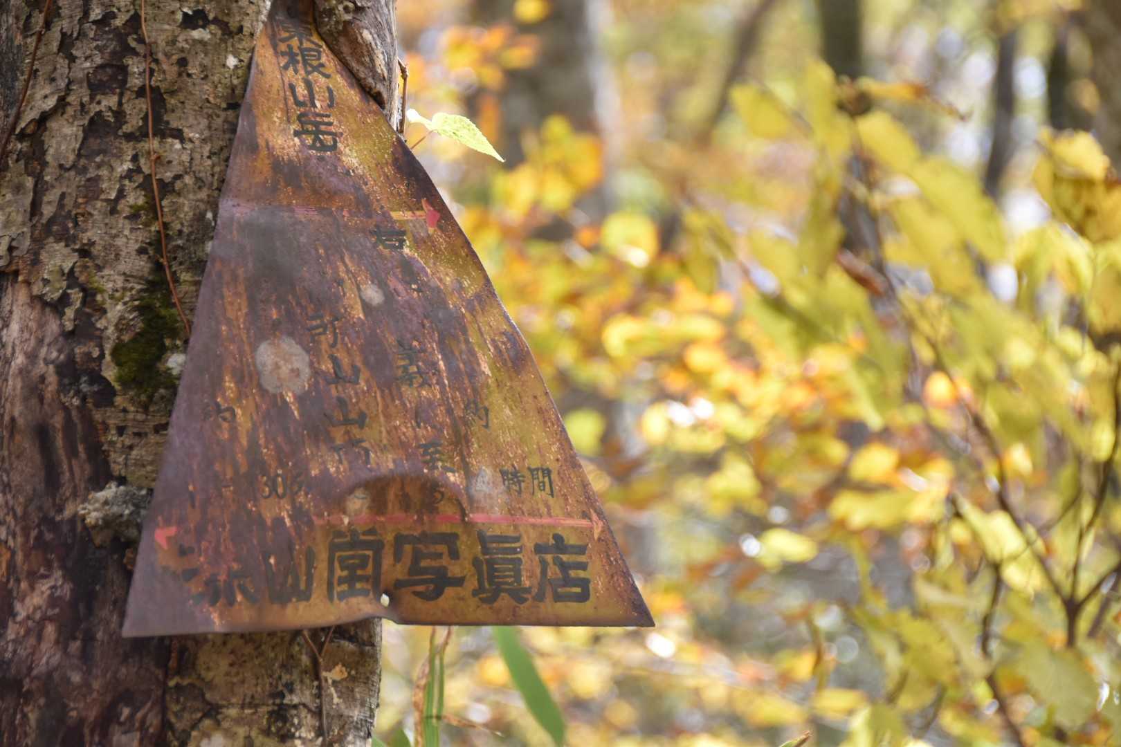 林道終点-粟畑-御所神社-船形山 往復コースの写真
