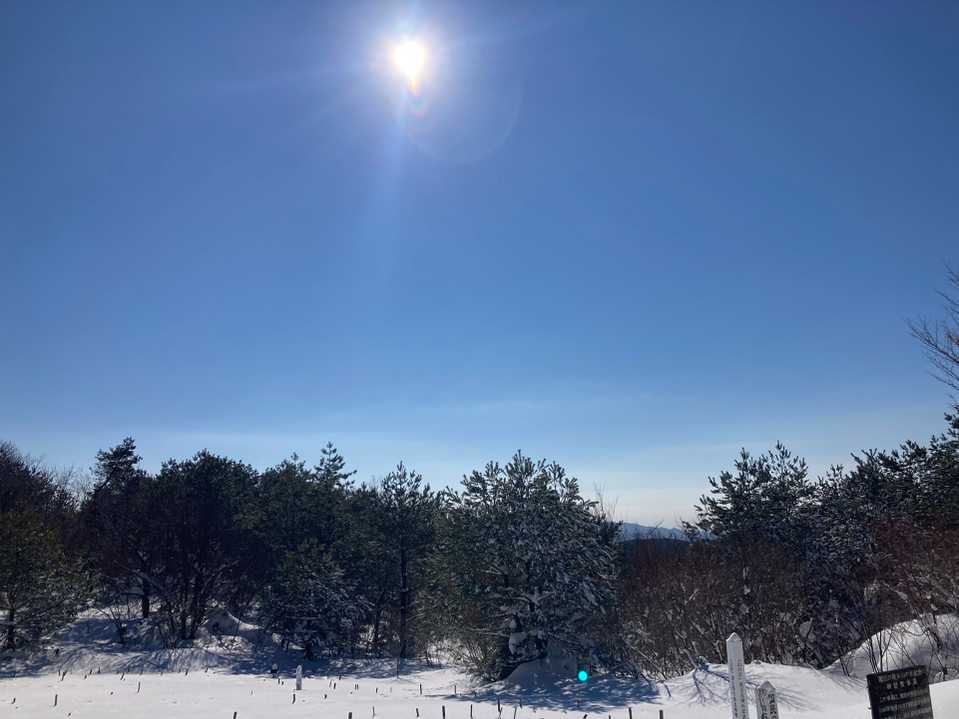 太陽燦燦☀️