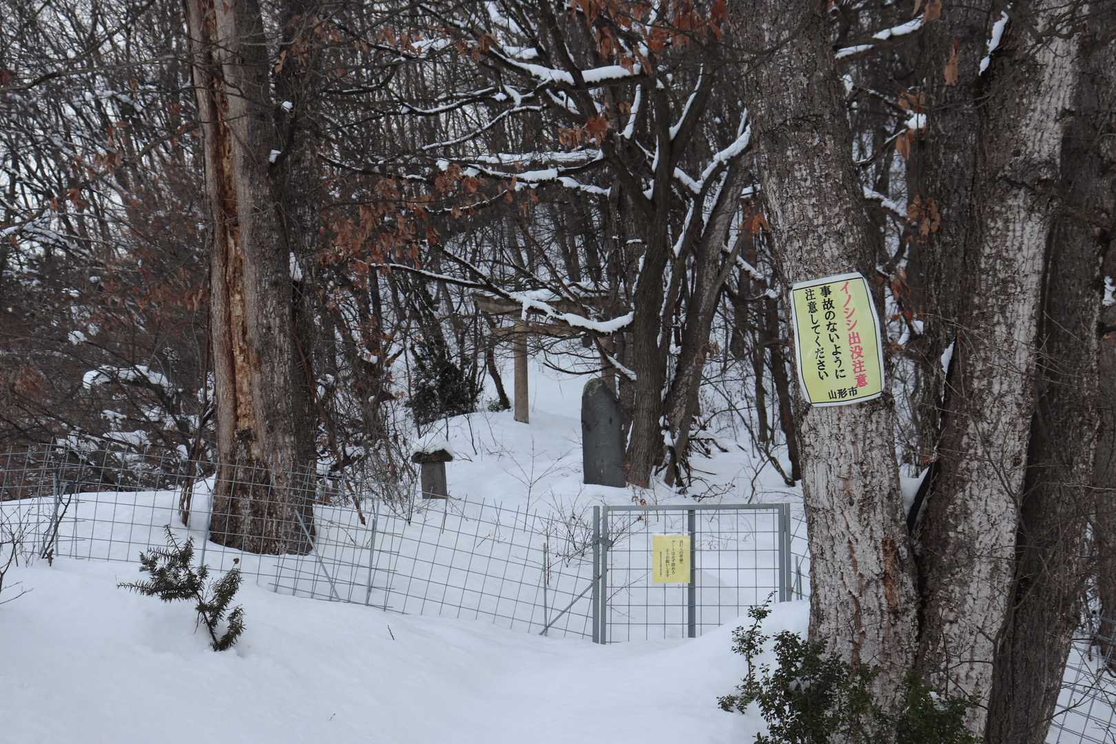 黄金山神社コース