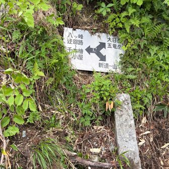 看板、見落とした
