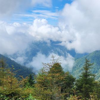 富士山は見れず😓