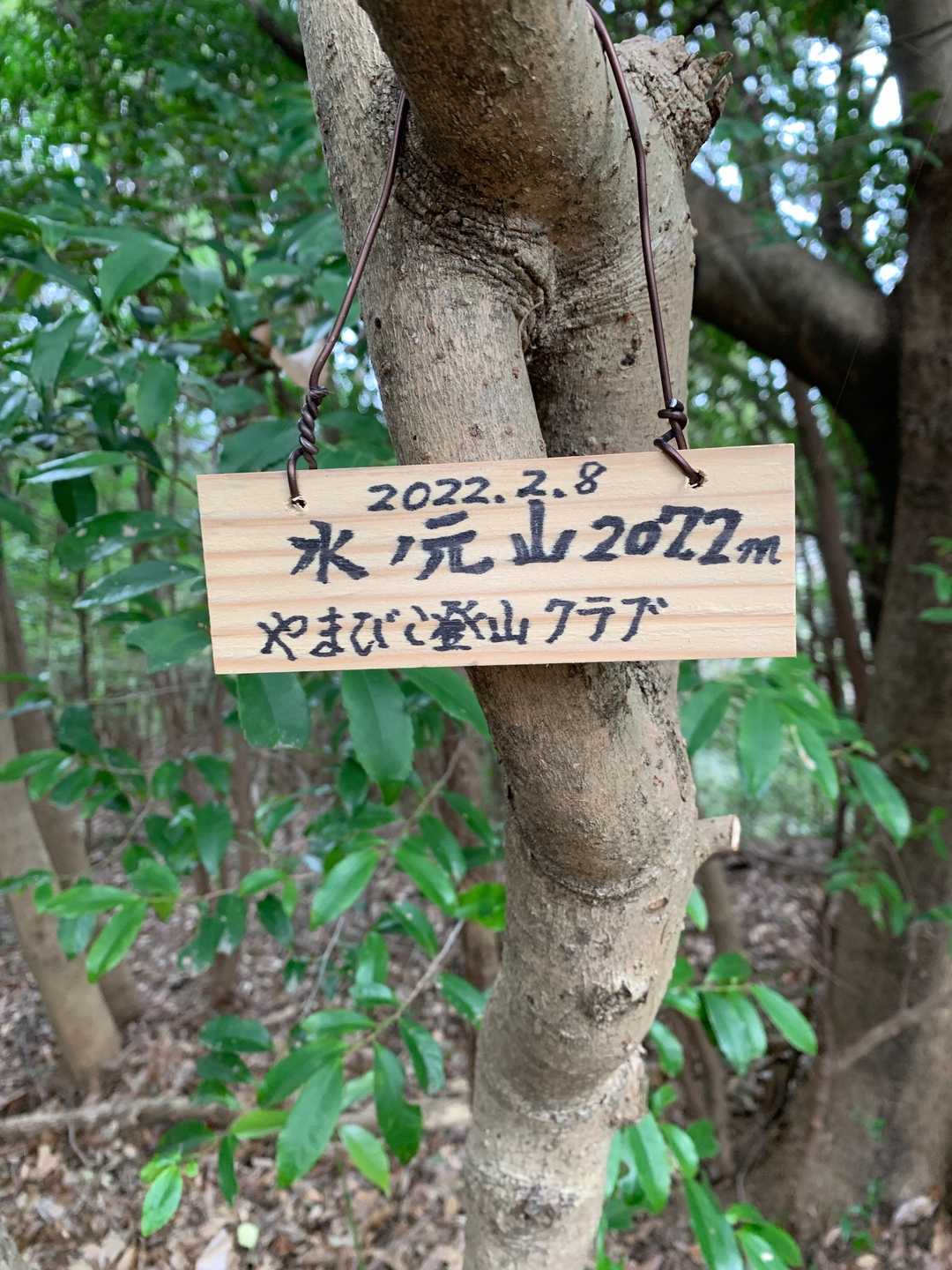 水ノ元山の写真