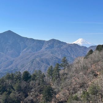 大菩薩嶺と富士山