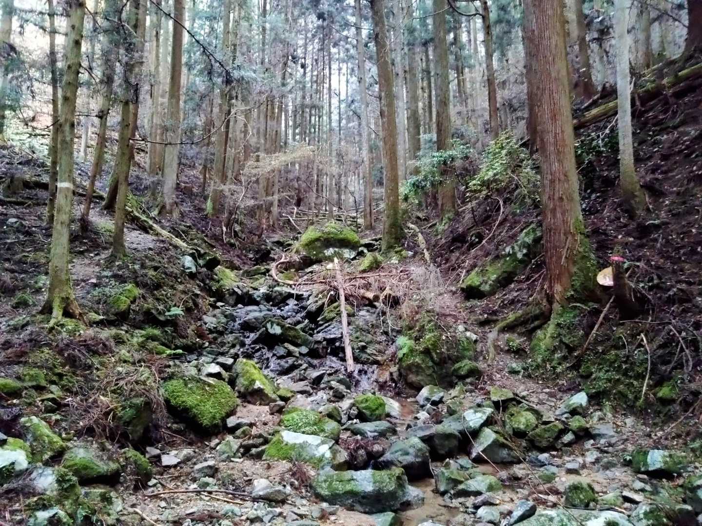 渓谷沿い歩き🚶