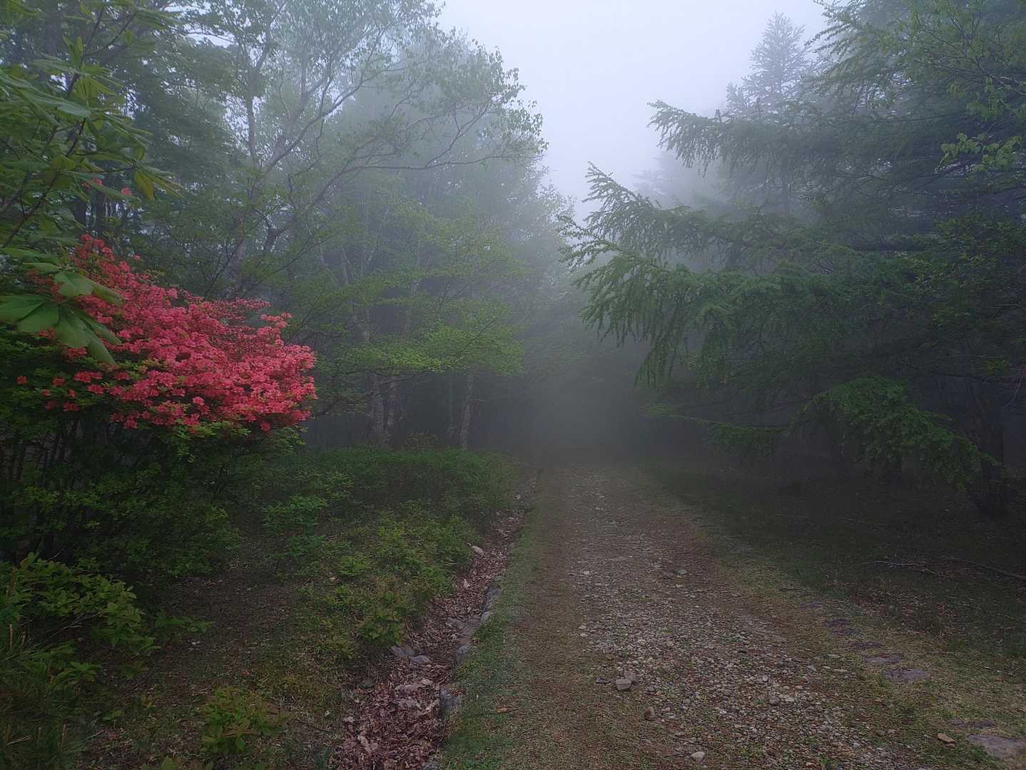 幻想的な…✨