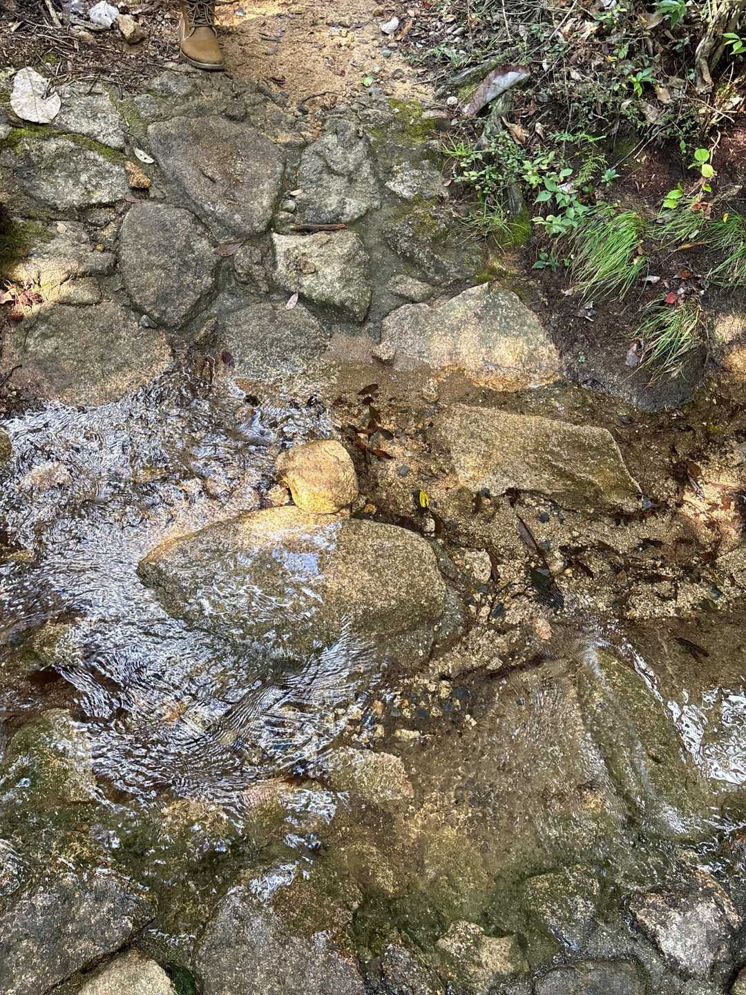 触ってみたら冷たかった。これを跨いで直進！
しかし川の水は澄んでいて綺麗。