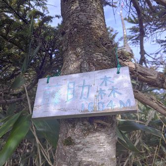 おまけで藤助森⛰️