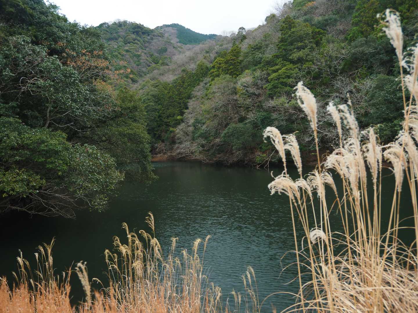 ぽとりと落としてやりましょう！」