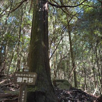 ここでようやく舗装道路脱出。
舗装路の距離考えると登山靴より運動靴の方がいいかも。