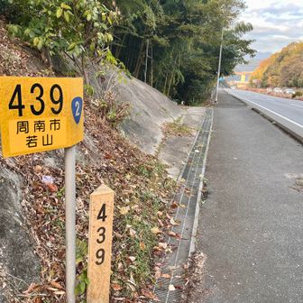 2号線、大阪から439km 周南市若山。右手が和歌山の登山口