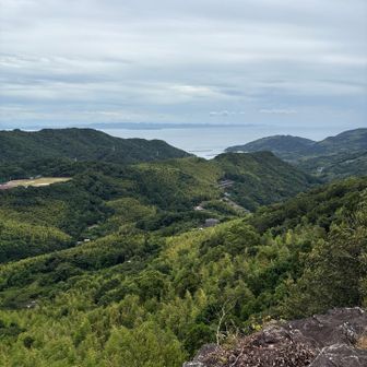 野母方面を望む