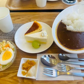お腹ぺこぺこでカレーセットケーキ付き、今日は我慢出来なかった🫢