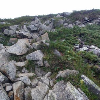 不帰嶮Ⅰ峰への登り