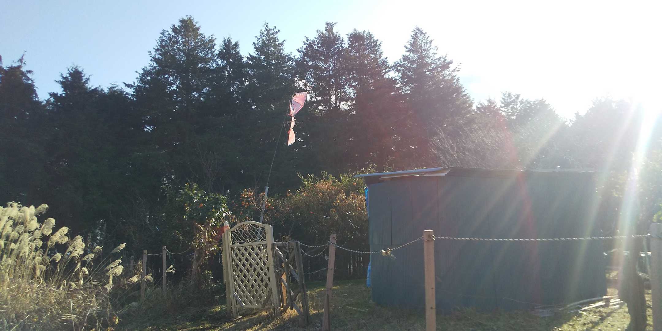 そして、更に南下して、高尾山。
ピークは何処だか解らず😭
私有地だし、此処に登る意味は、ピークハンターだからです🔥
