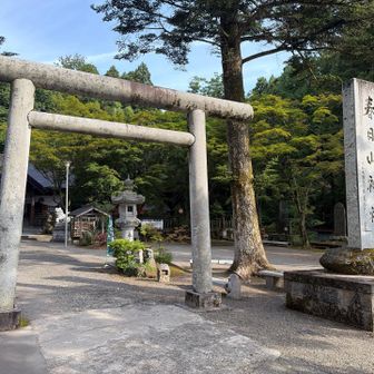 こちらでお参りしてから登ります🙏