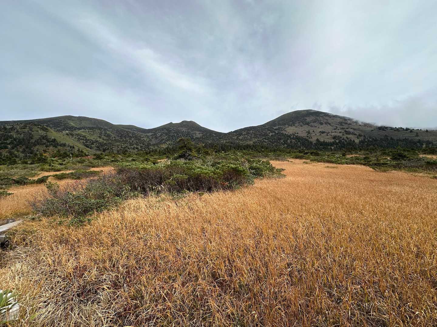 赤倉岳、井戸岳、大岳
