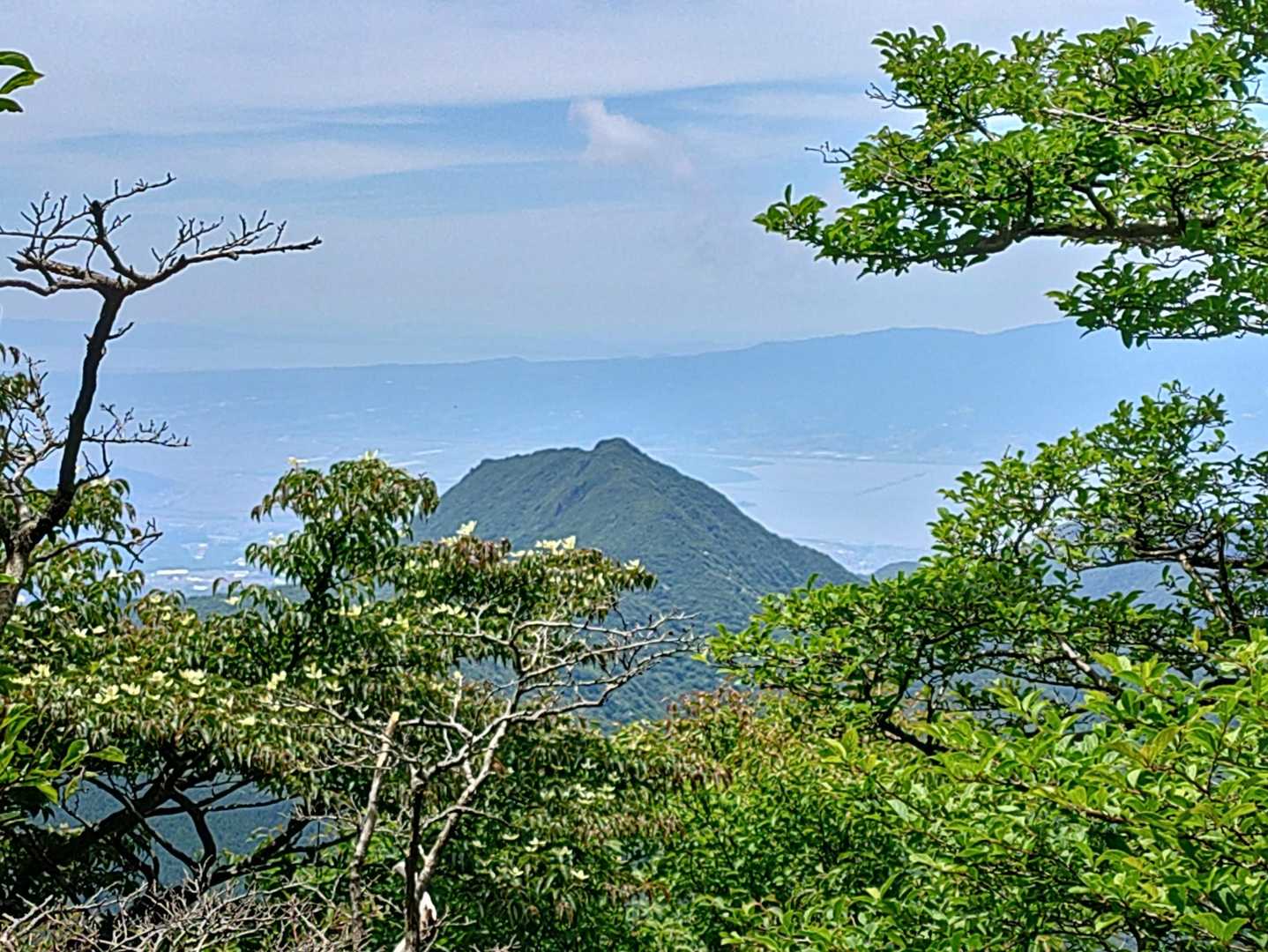 ヤマボウシ＆九千部岳
