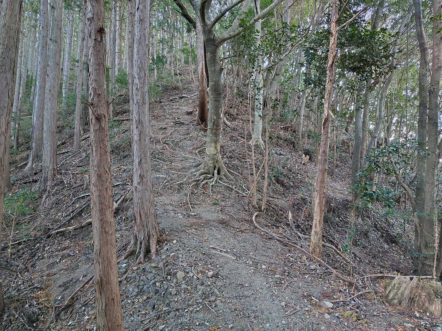 往路は急坂とアップダウンが
地味に効きます💦