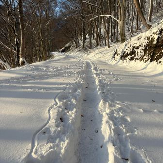 西黒尾根までの道
トレースに感謝！