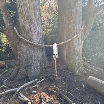 下山しだしたら☀️