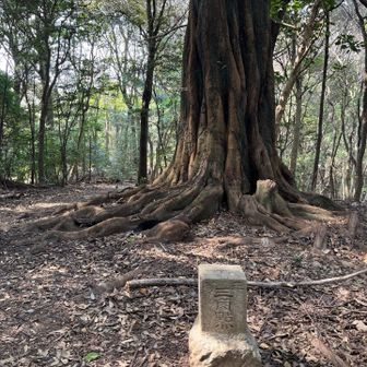 天が峰山頂の少し手前に三角点がありました。